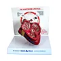 Canine anatomical heartworm model